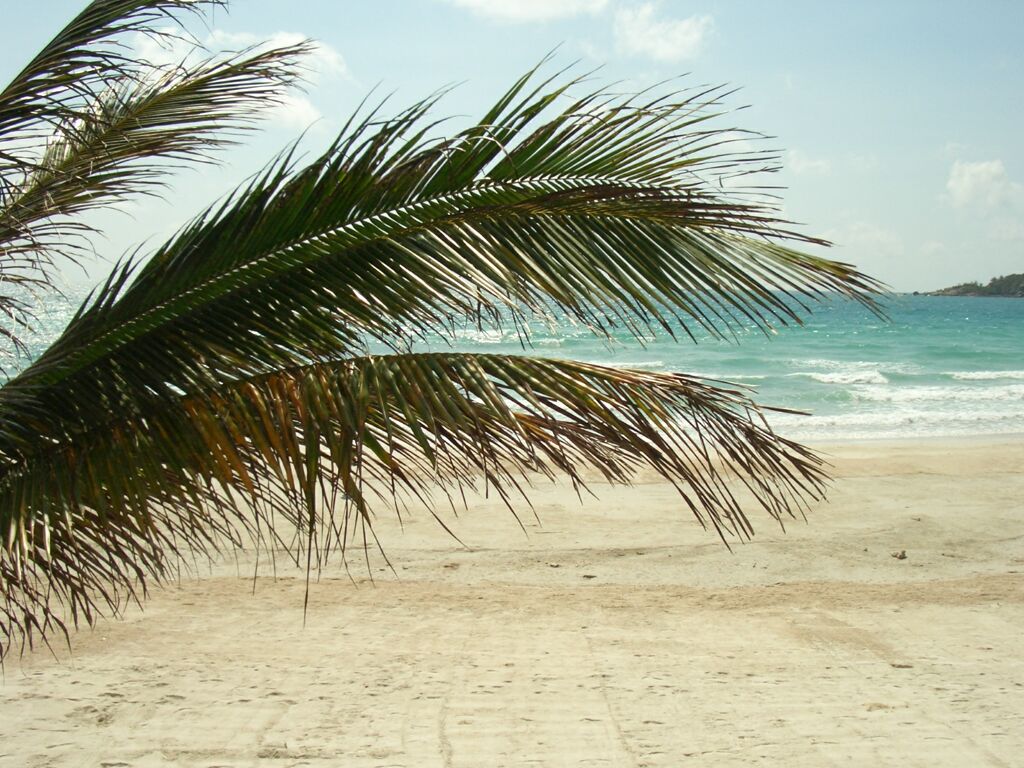 Click to See Next Image